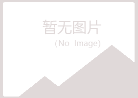 阳春山柳工程有限公司